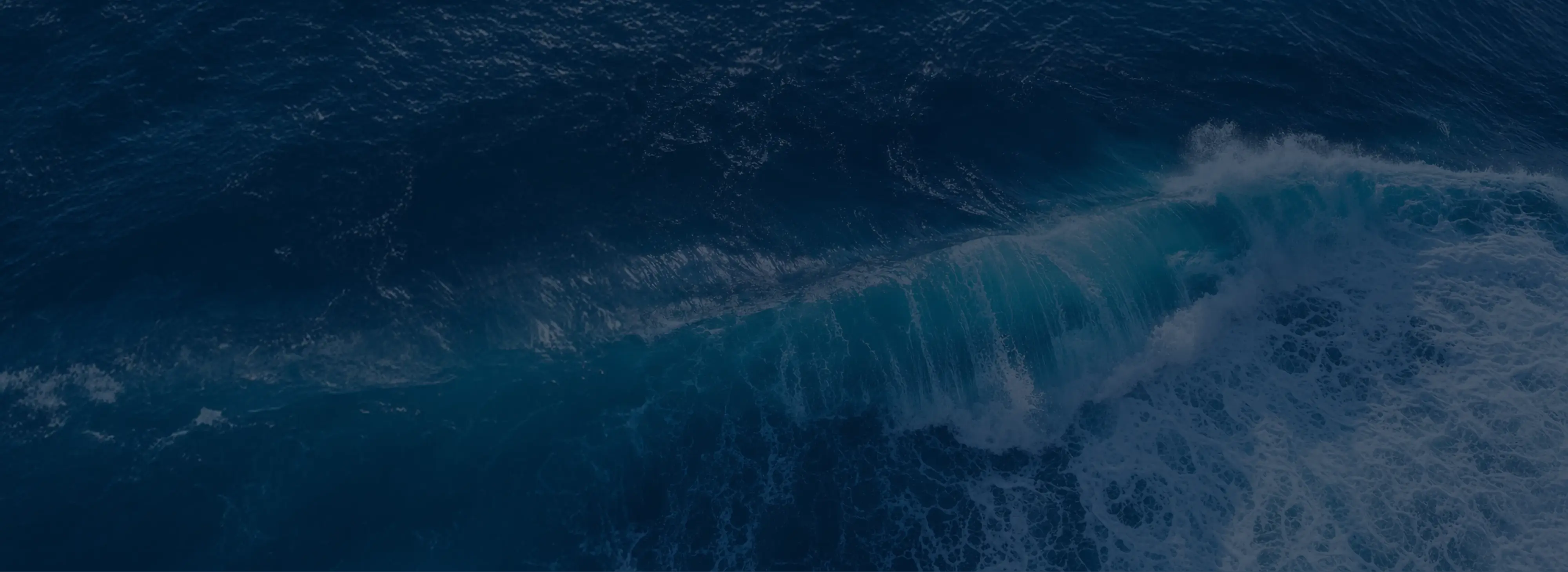 fs background